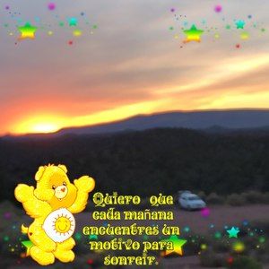 Meet your Posher, Anny